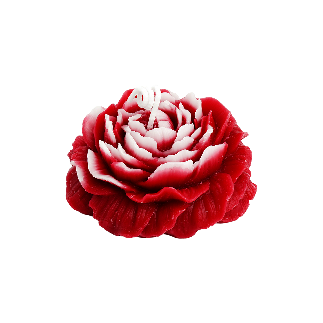 White Red Rose Candle