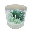 cactuses candles