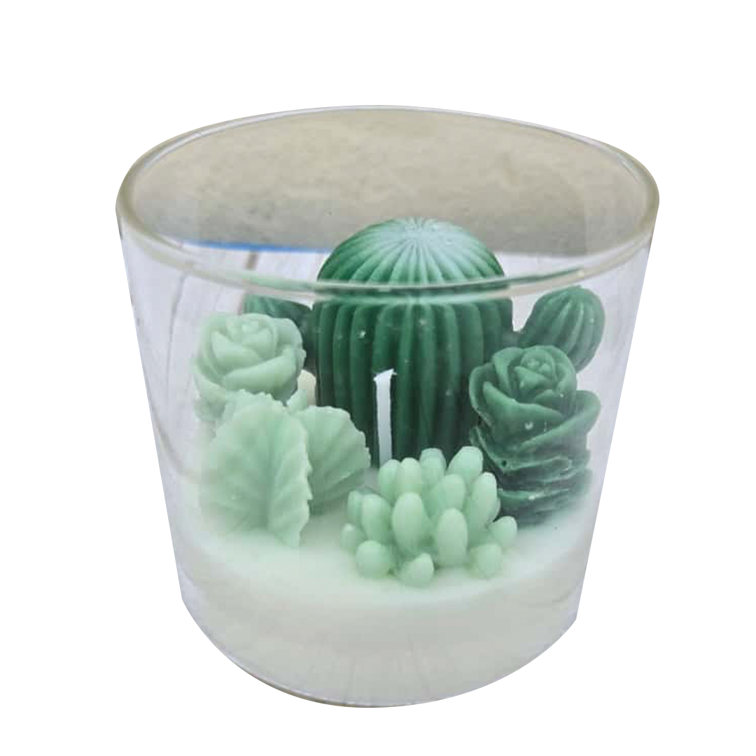 cactuses candles