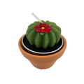 Cactus Candle