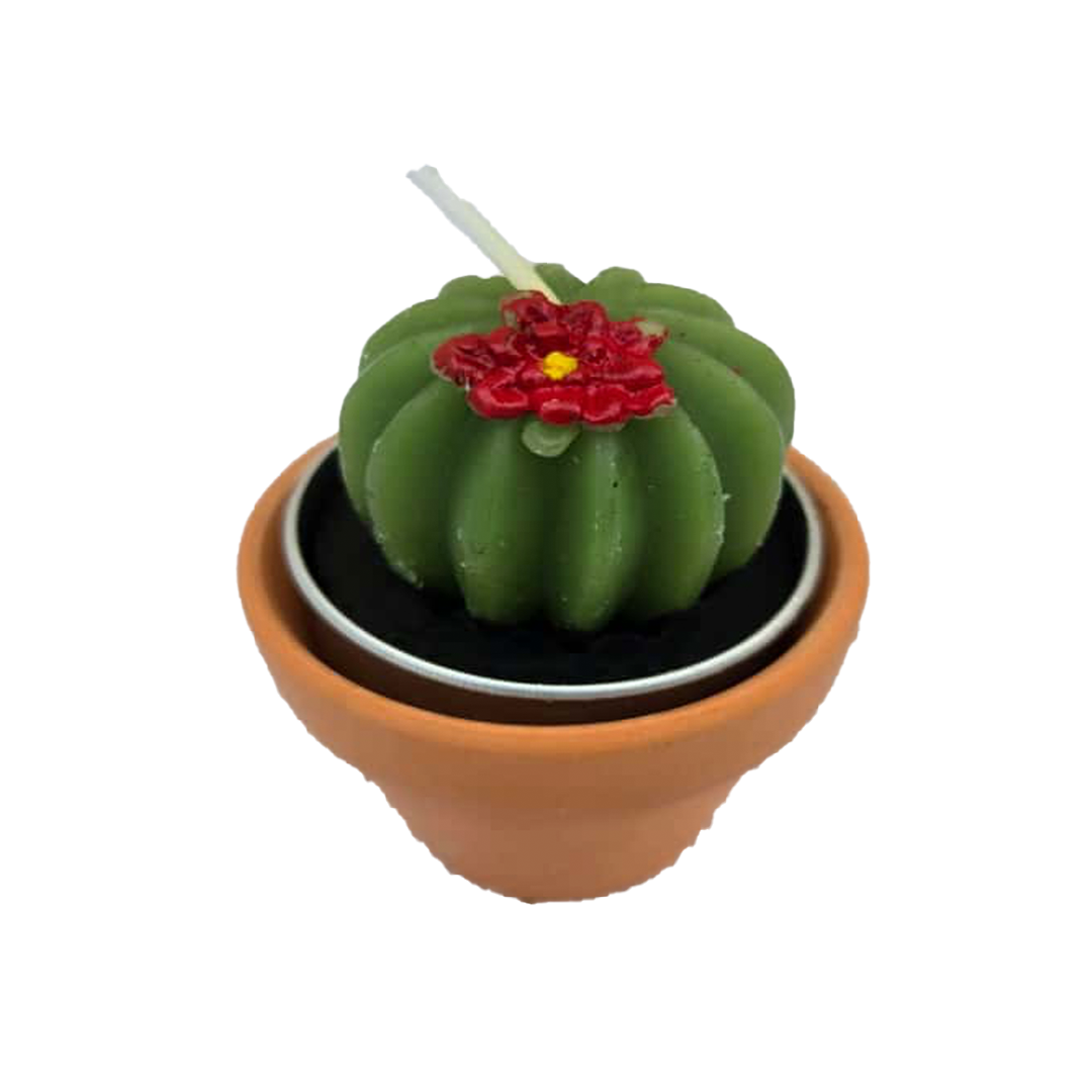 Cactus Candle