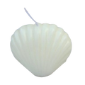Shell Candle